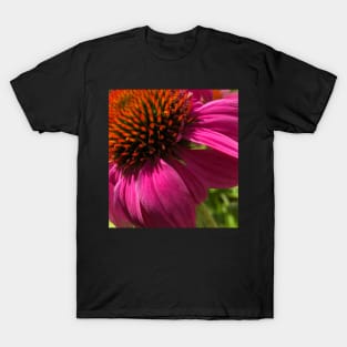 Fly with Pink Echinacea T-Shirt